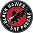 Athletic Hockey Career Passau Blackhawks