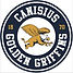 Athletic Hockey Career Canisius University