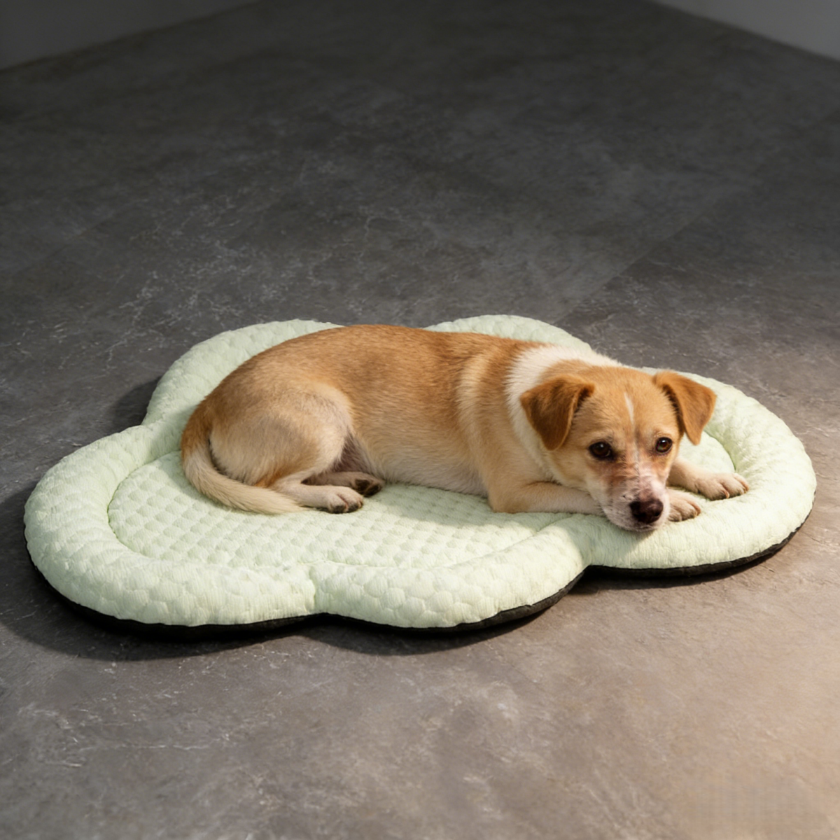 Cloud Shape Ice Silk Pet Cooling Mat
