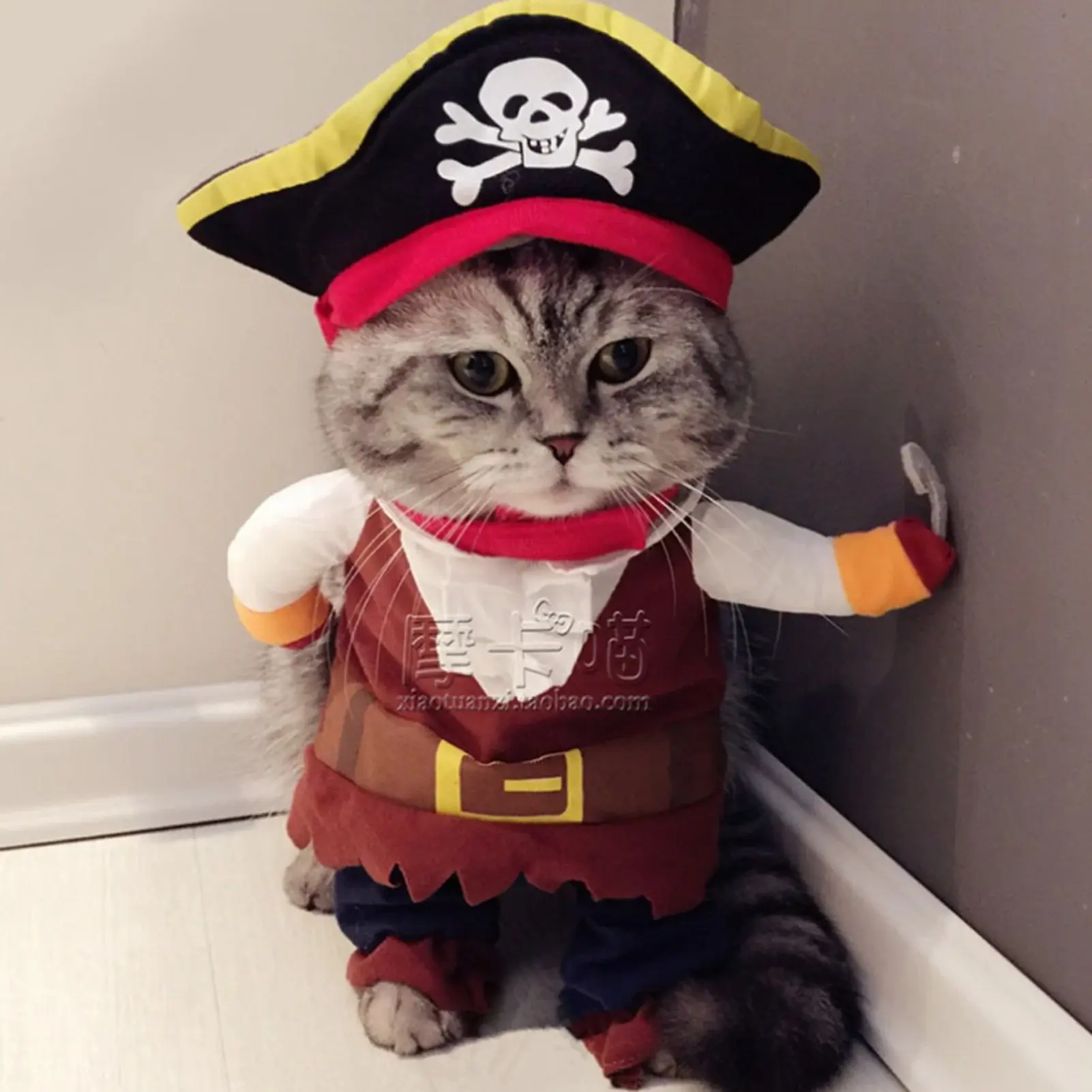 Pirate Pet Halloween Costume