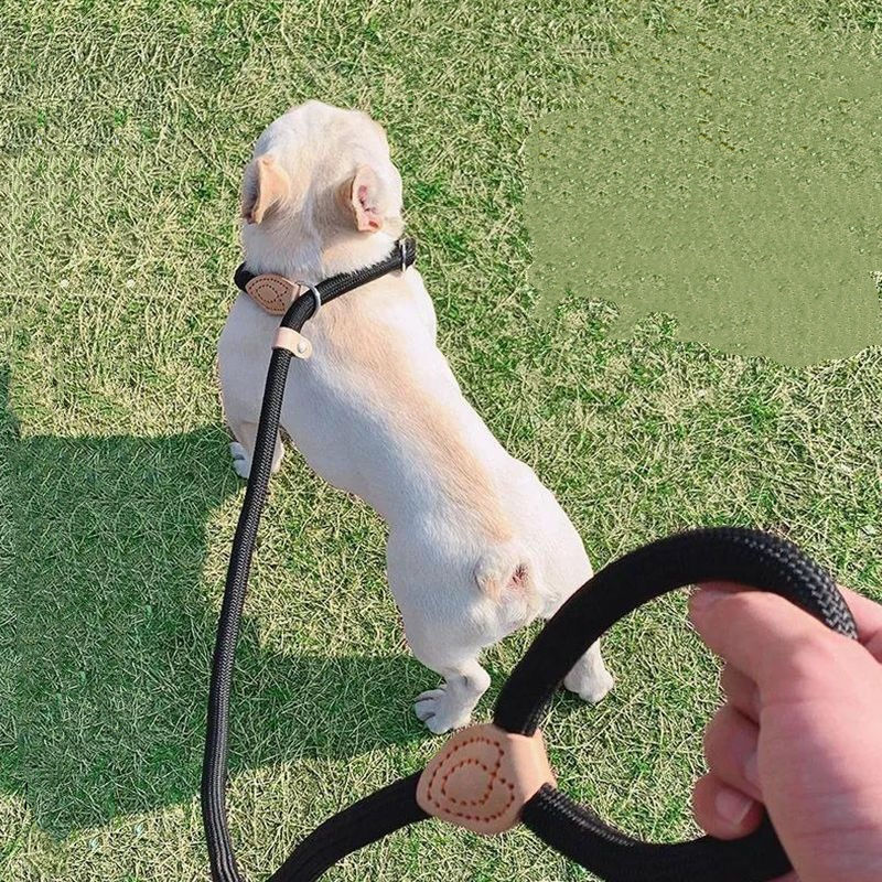 Dog Leash Slip Rope Lead Leash Heavy Duty Braided Rope