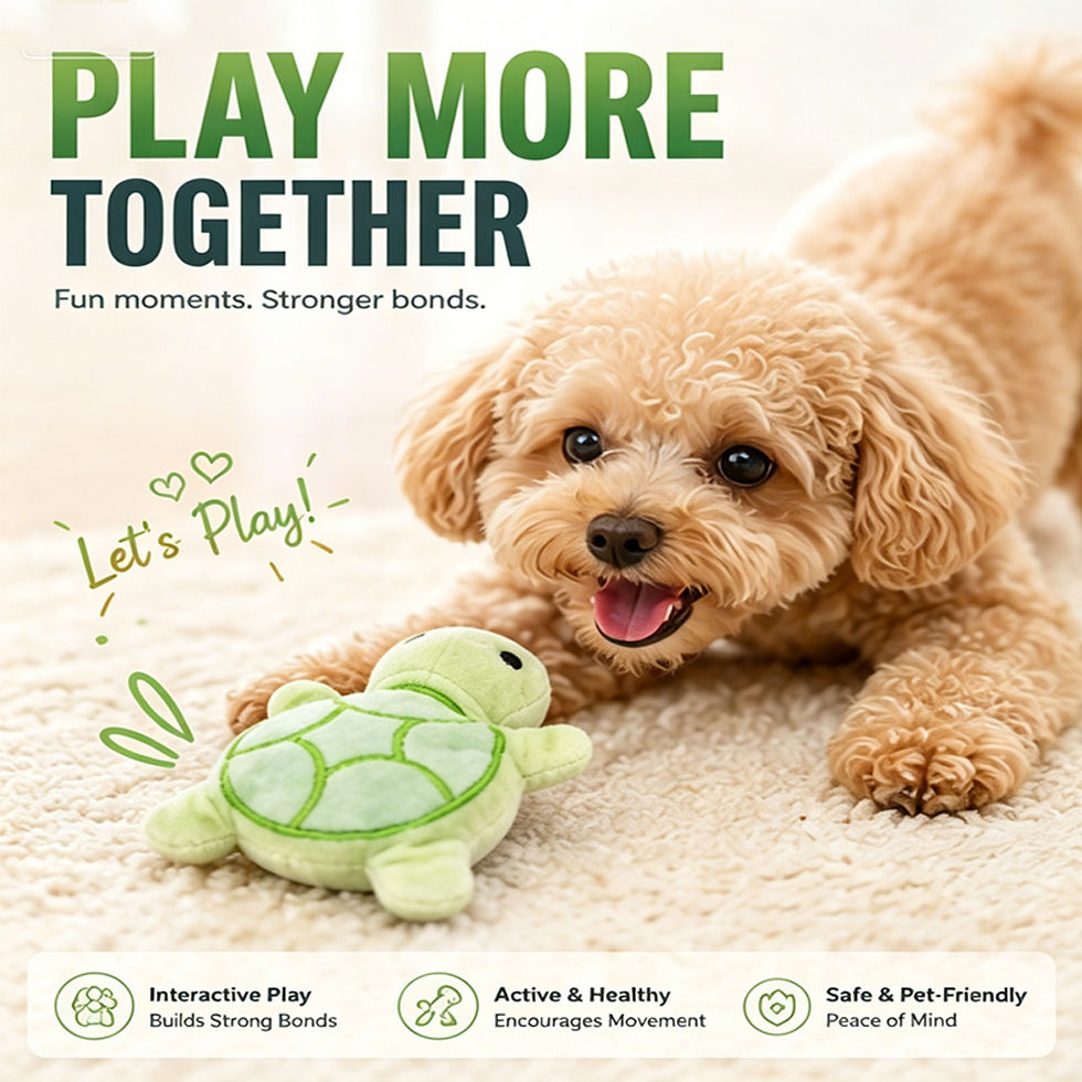 Thumbnail: Mini Squeaky Turtle Toy 