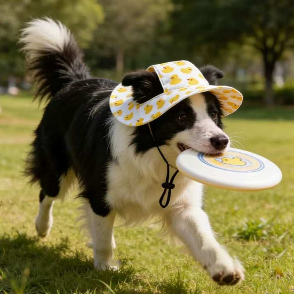 Cute Duck Printed Pet Cat Dog Hat Adjustable Cap