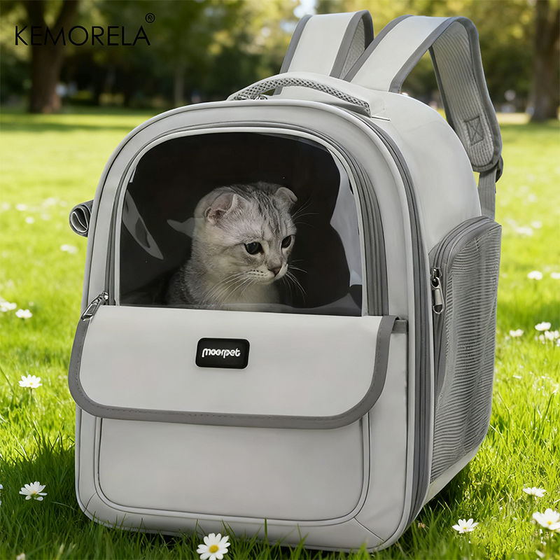 Large Capacity Breathable Mesh Portable Foldable Pet Carrier