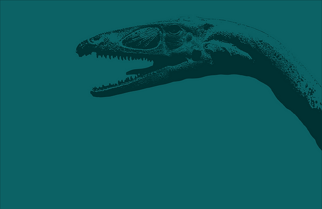 Coelphysis4.png