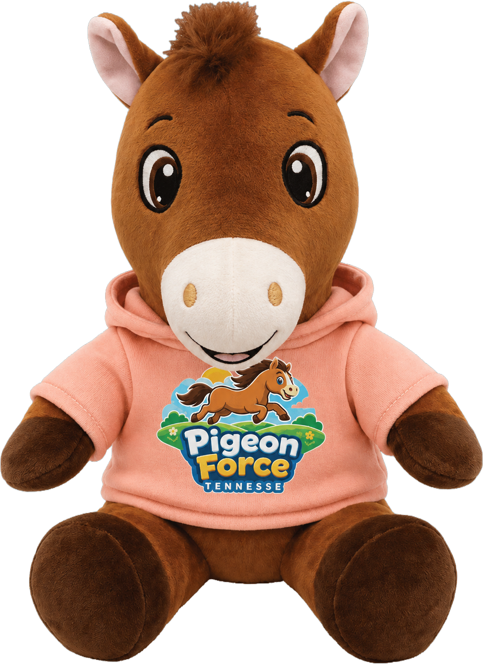 Horse with Hoodie
