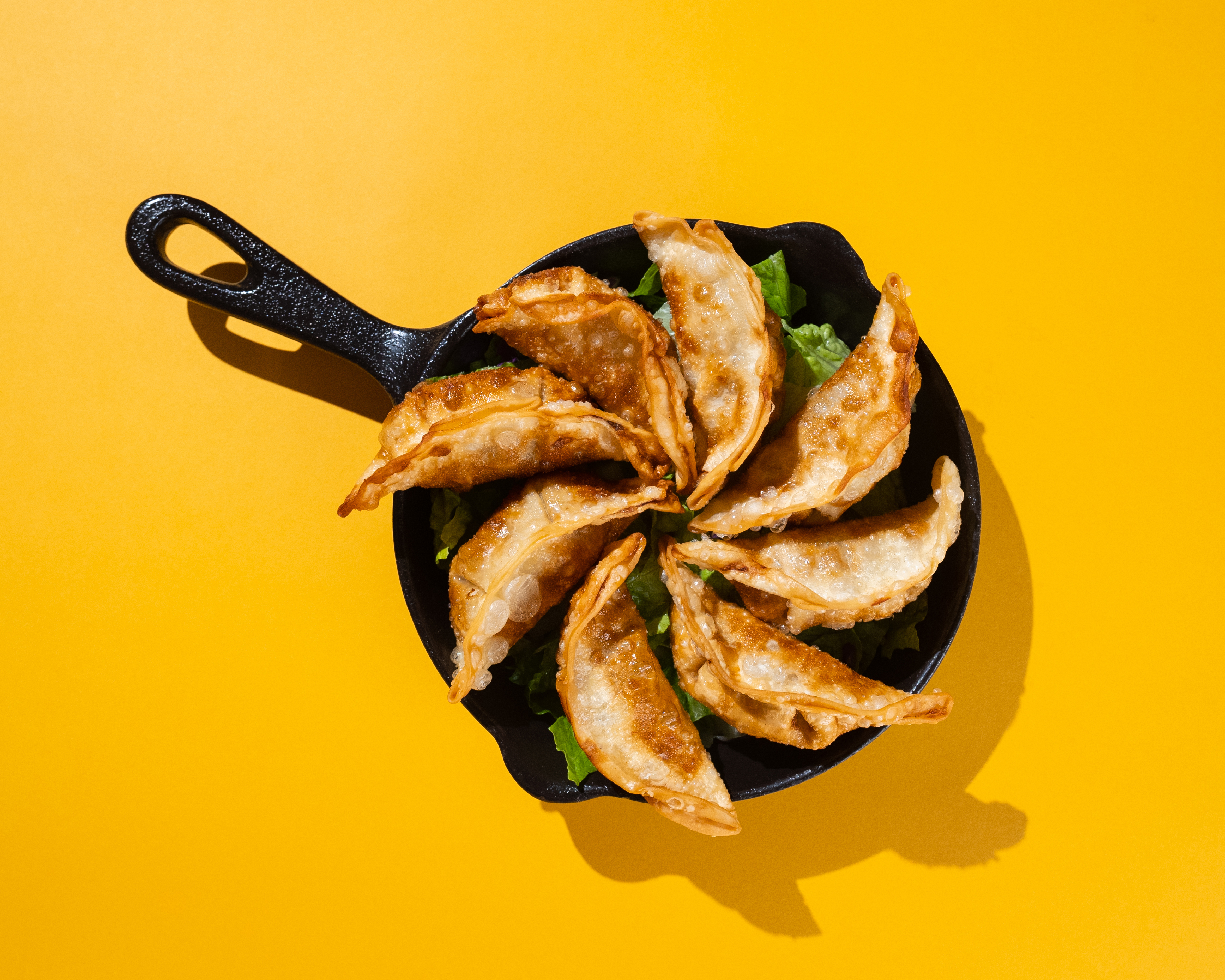 Gyoza