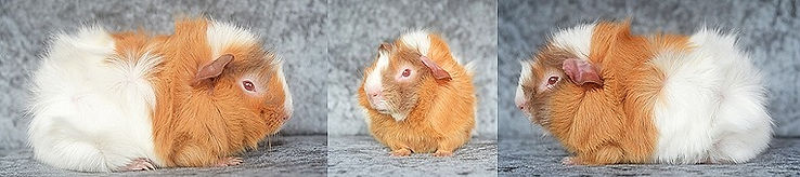 DSC_3620-horz_edited.jpg