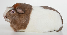 DSC_0657_edited.jpg