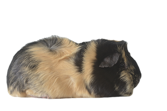 DSC_9771_edited.png