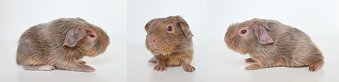 DSC_1702-horz_edited.jpg