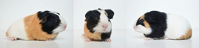 DSC_1303-horz_edited.jpg