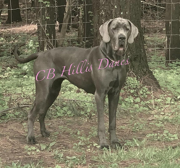 okalani 1-1yr.jpg