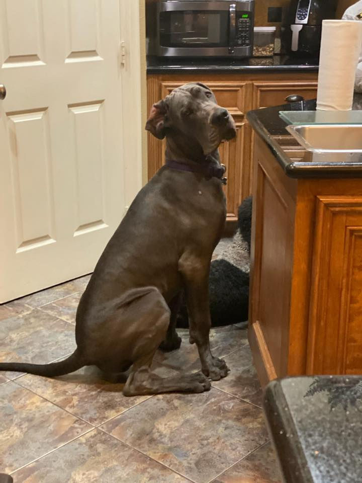 moses 6 months