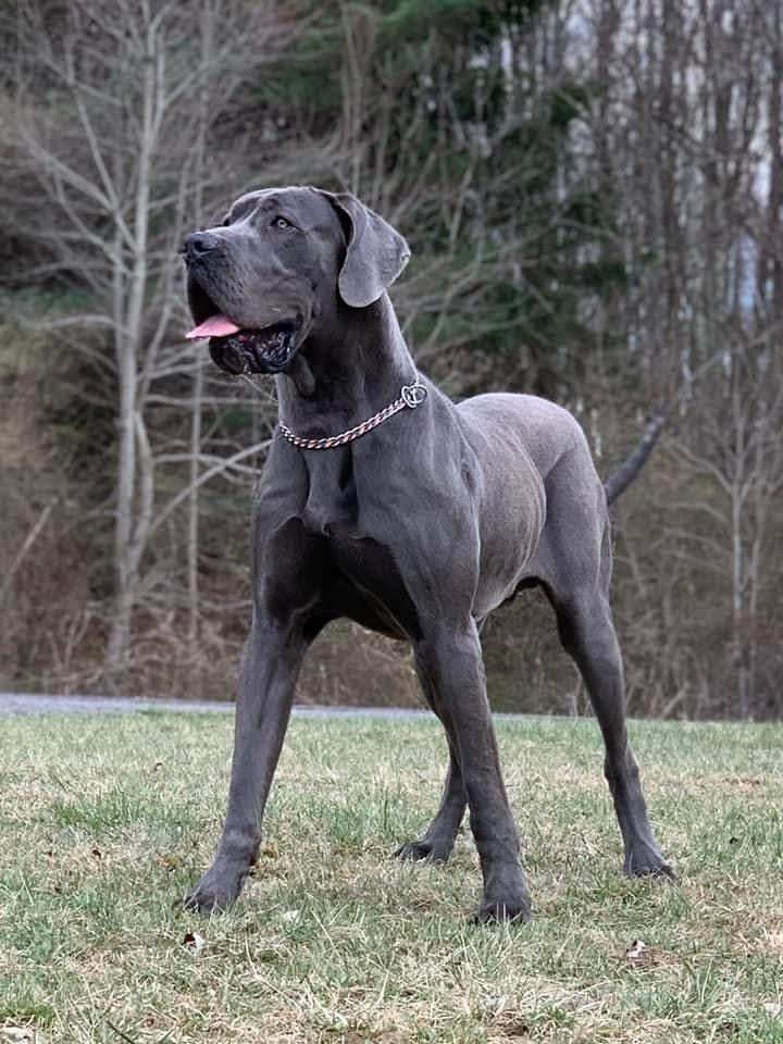 Jethro 2