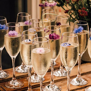 Drinks Reception