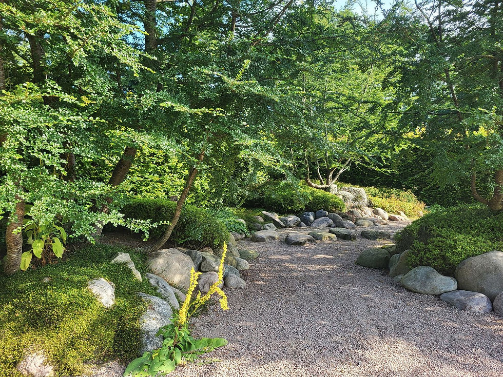 Gärten der Betrachtung von Dirk Christian Schröder - Garten- und Landschaftsbau