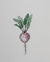 Küchenbild_Rote Beete_1_web.jpg