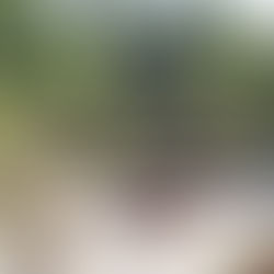 Small Gardens - Schaugärten auf Gut Stockseehof