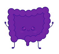 Digestion pic.png