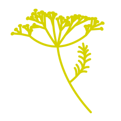Writer: The Yarrow Cookery School