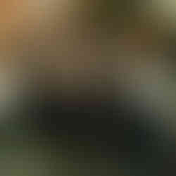 Event photos by © Stéphanie Lemerle for the VO Social Paris 2025