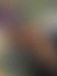 Event photos by © Stéphanie Lemerle for the VO Social Paris 2025