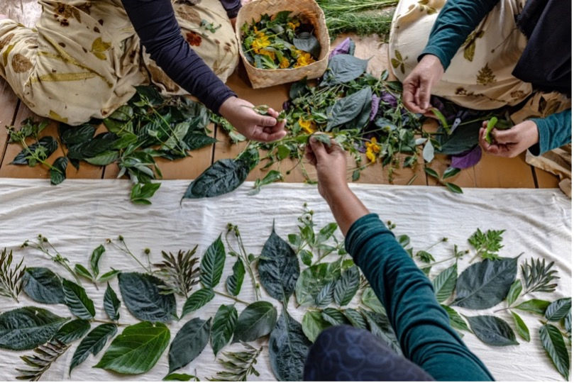 Ecoprint - Frühlings-Natur auf Baumwolle drucken