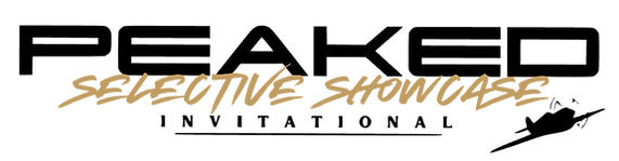Selective Showcase Logo Black (5).png