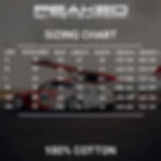 Thumbnail: Peaked Evo Wagon Shirt