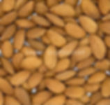 Almonds from Jagan Dryfruits