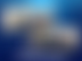 Women in Sport Committee Meeting