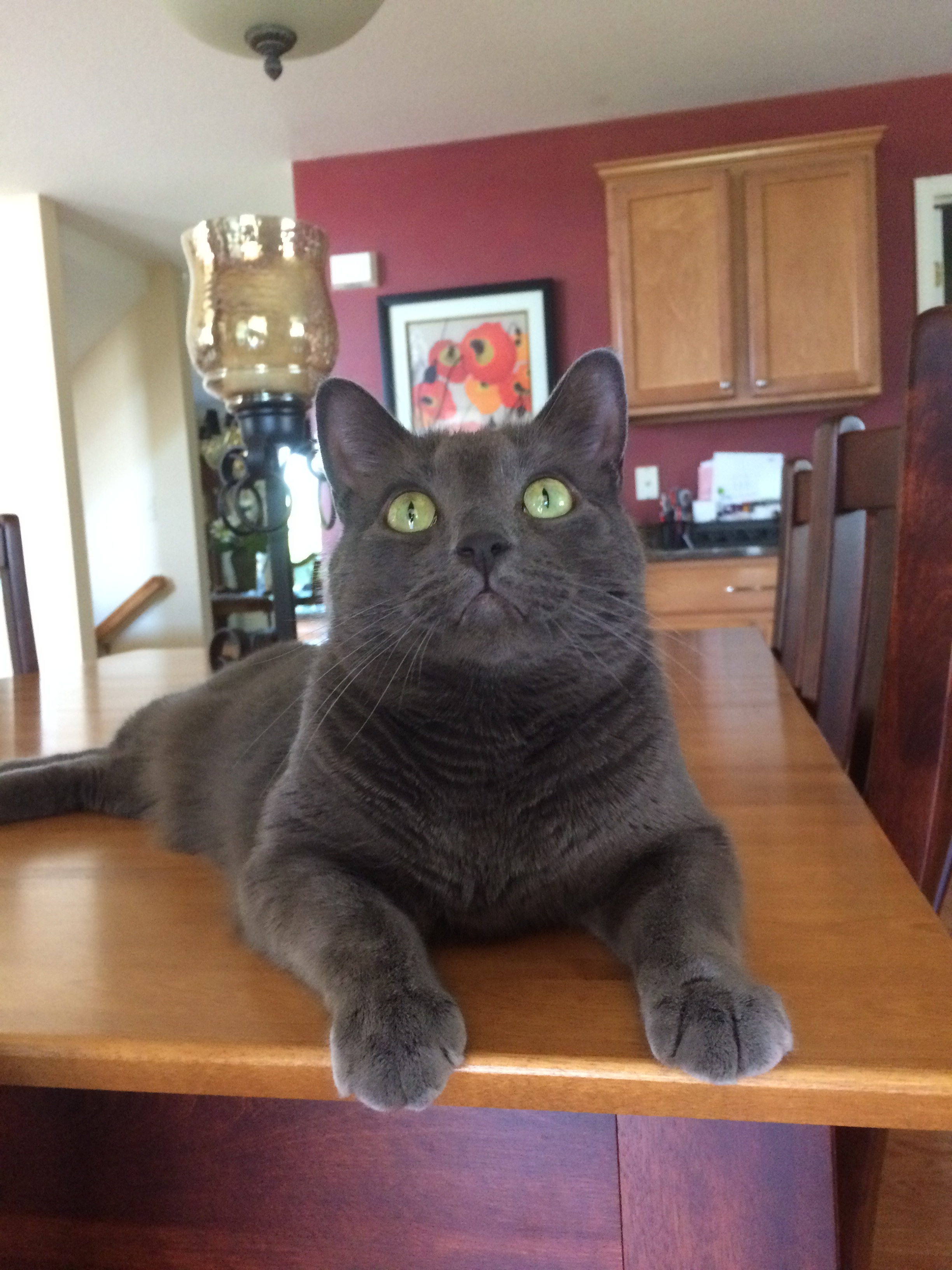Sammi