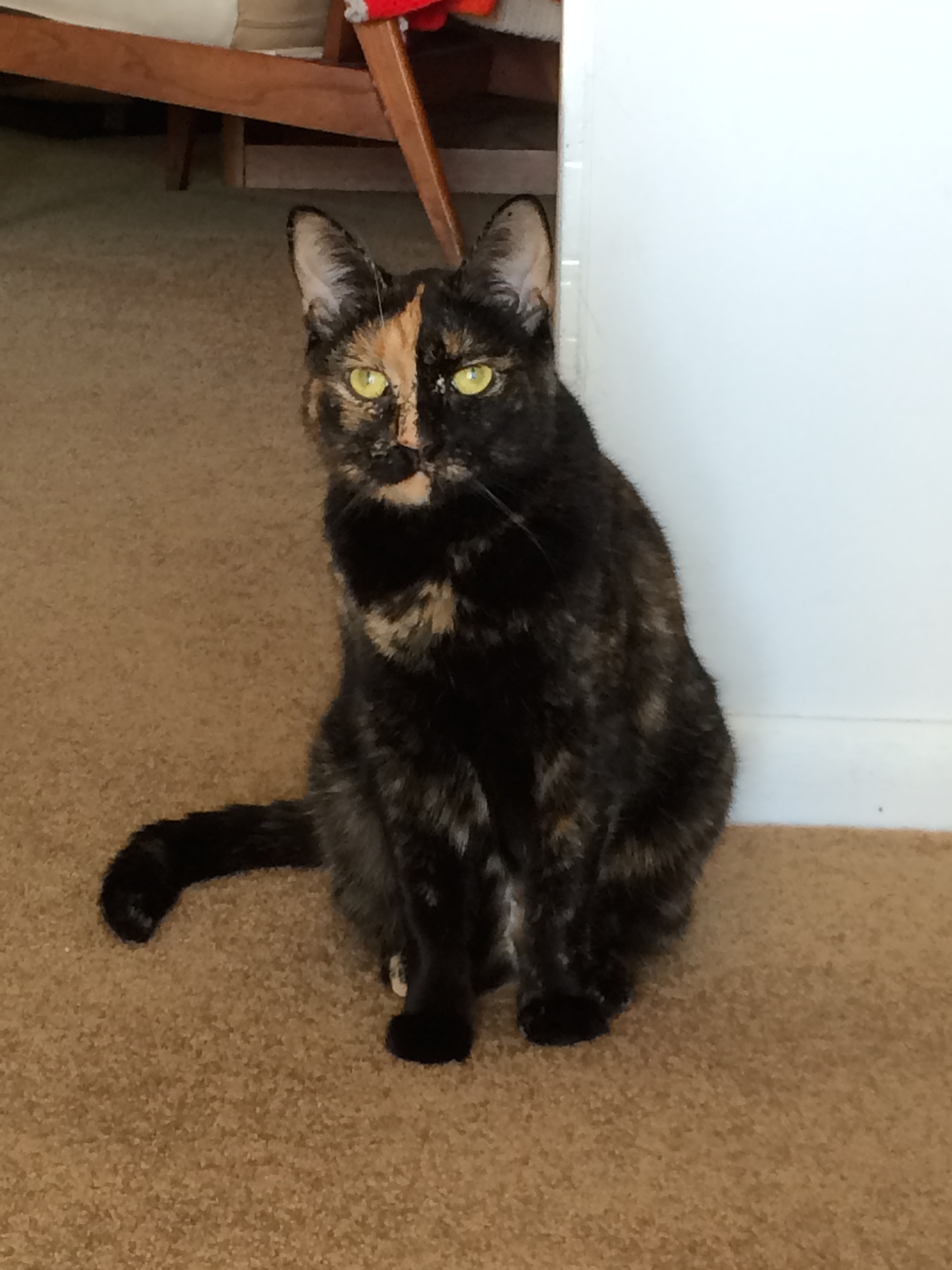 Thelma
