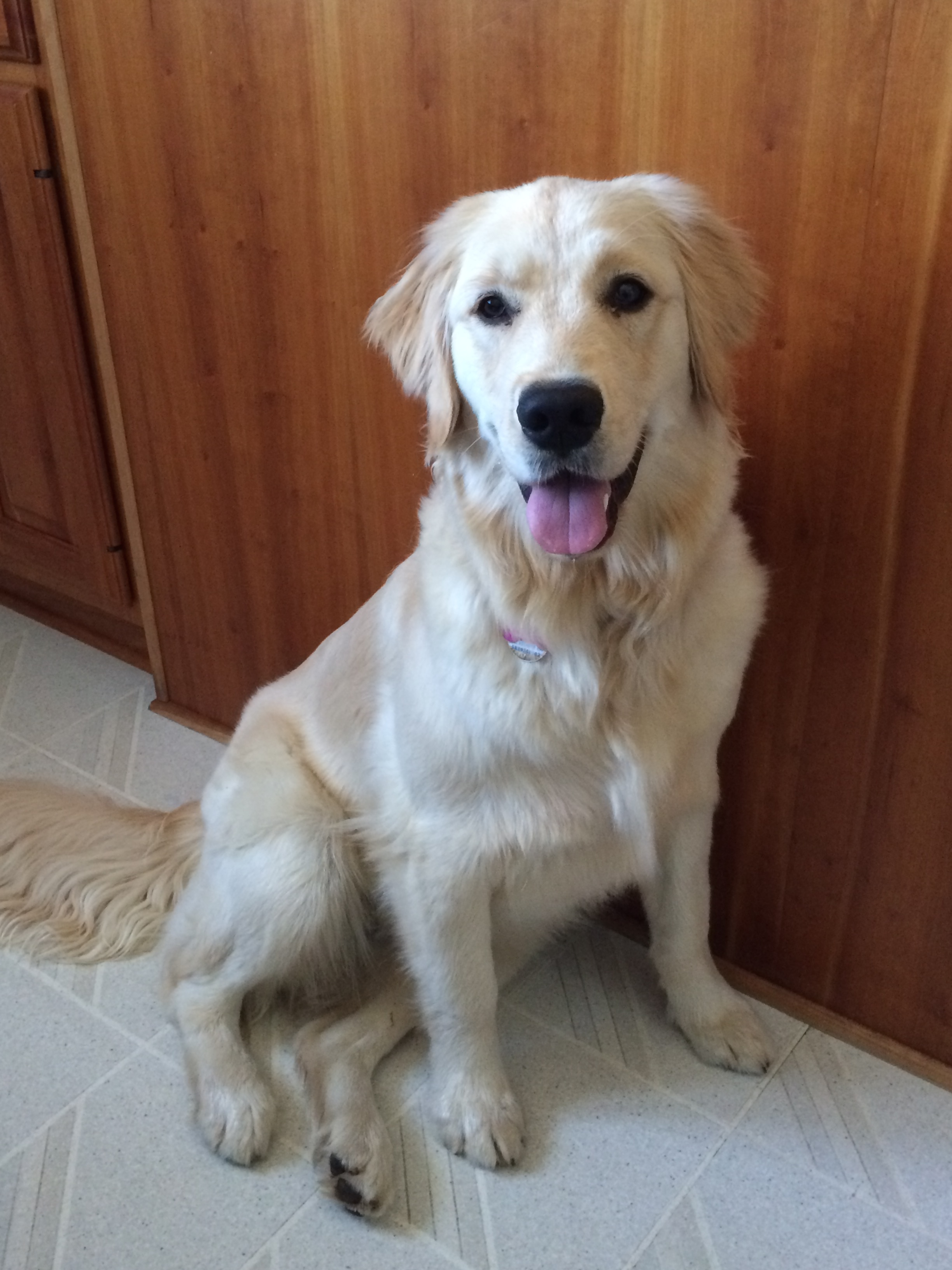 Rosie