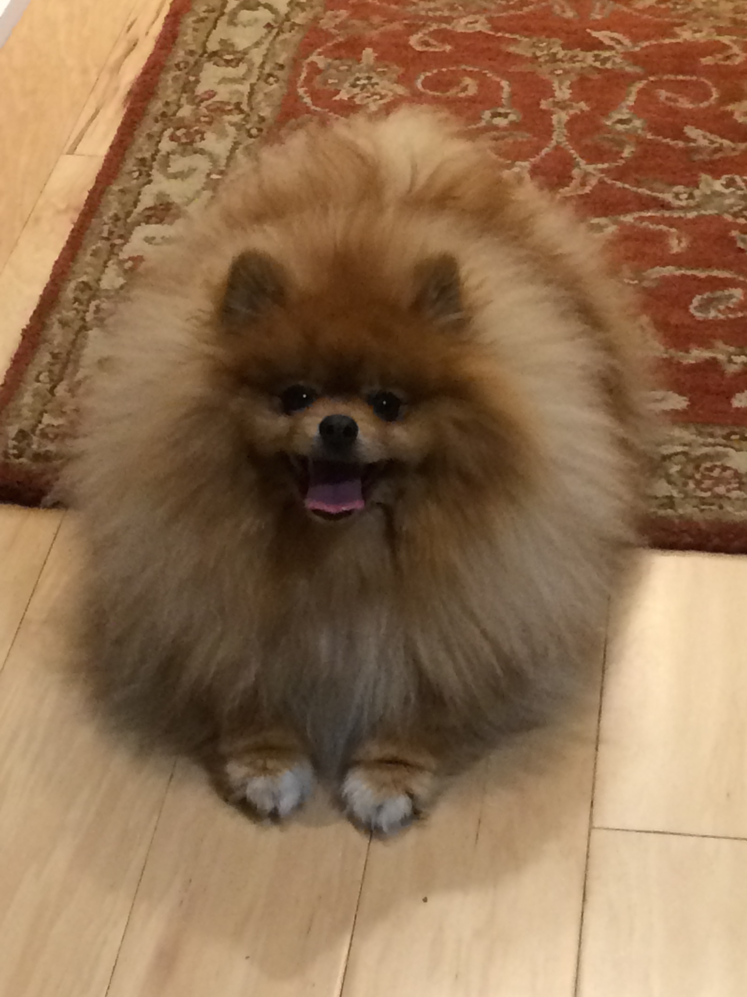 George