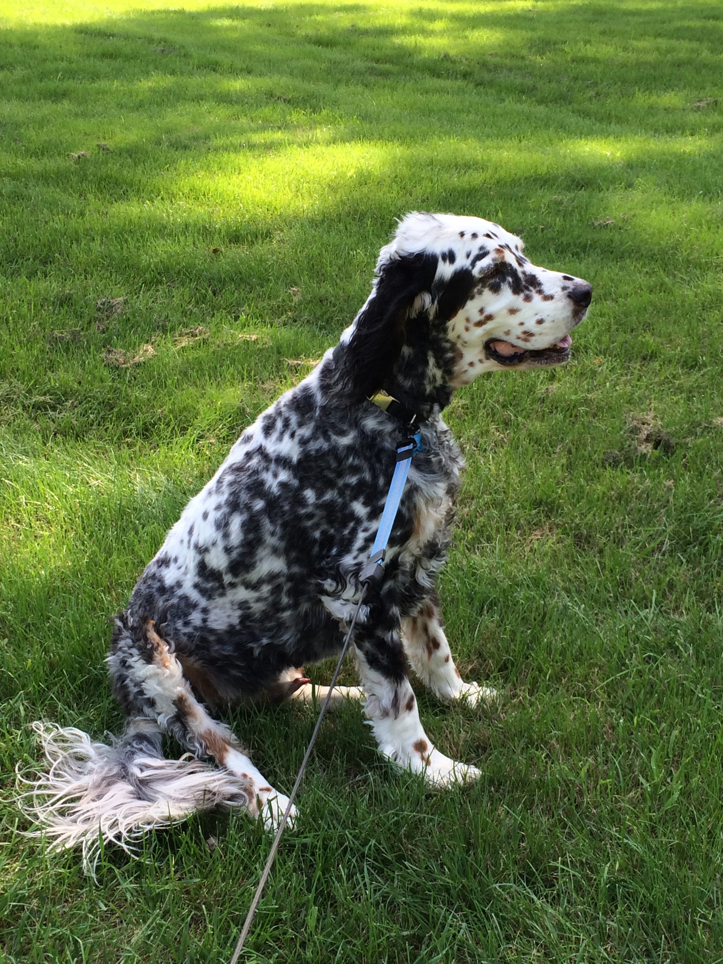 Henry