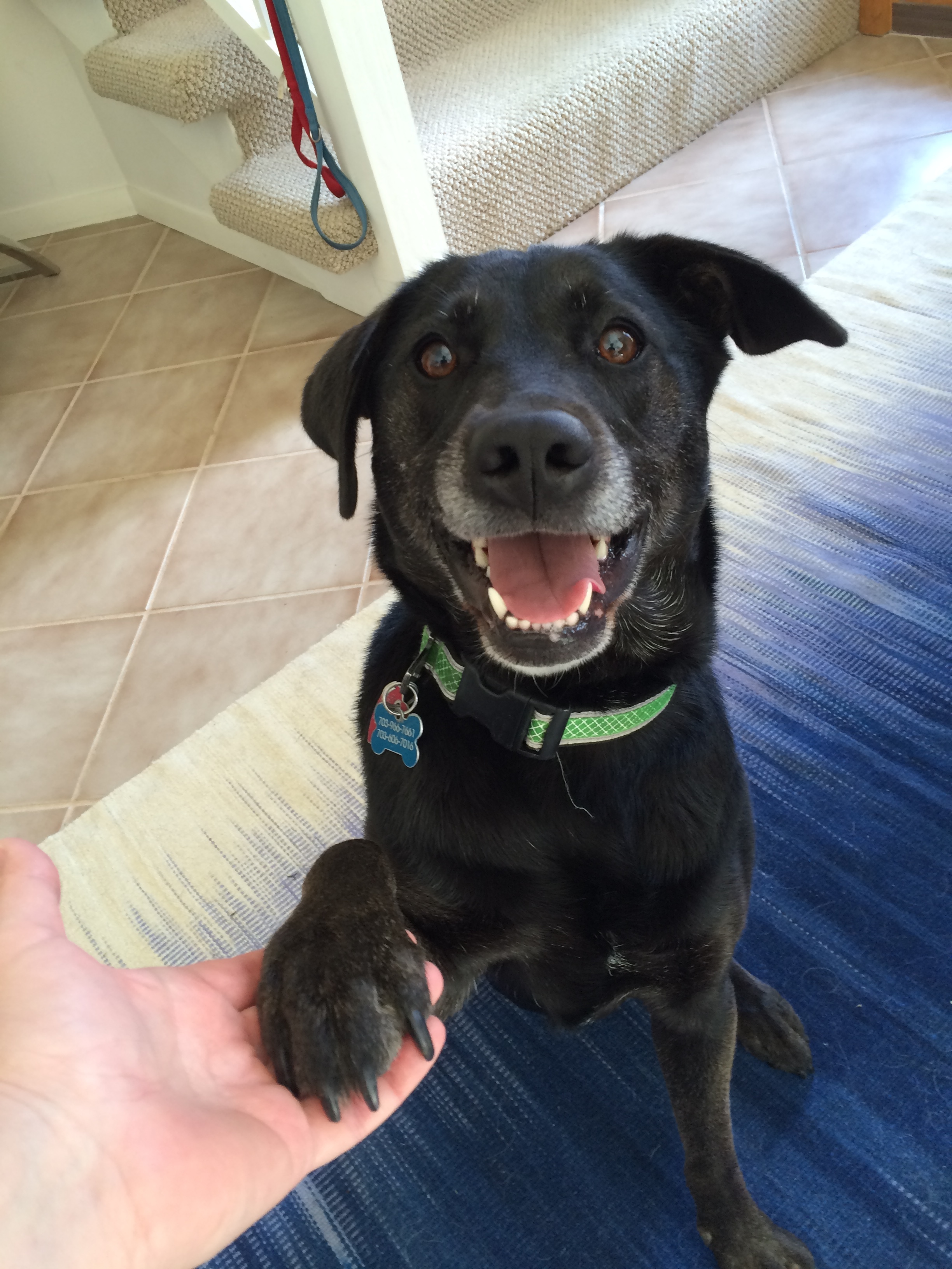 Maggie