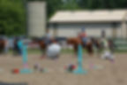 Mounted Police De-Spooking Clinic_AM Session