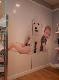 ROTULACION DE PAREDES