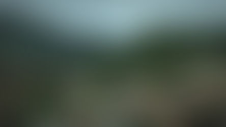 散文推薦|〈我記得書寫的原點〉/吳岱穎