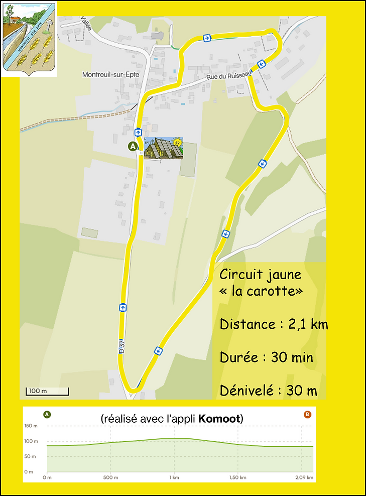 circuit jaune bis.png