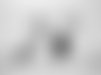 Experience 'A Walk on the Wild Side' if You Haven't Yet