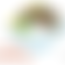 台灣的大眾小吃 − 滷肉飯