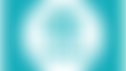 Release of our official website