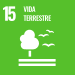 Sustentabilidade: Vida terrestre