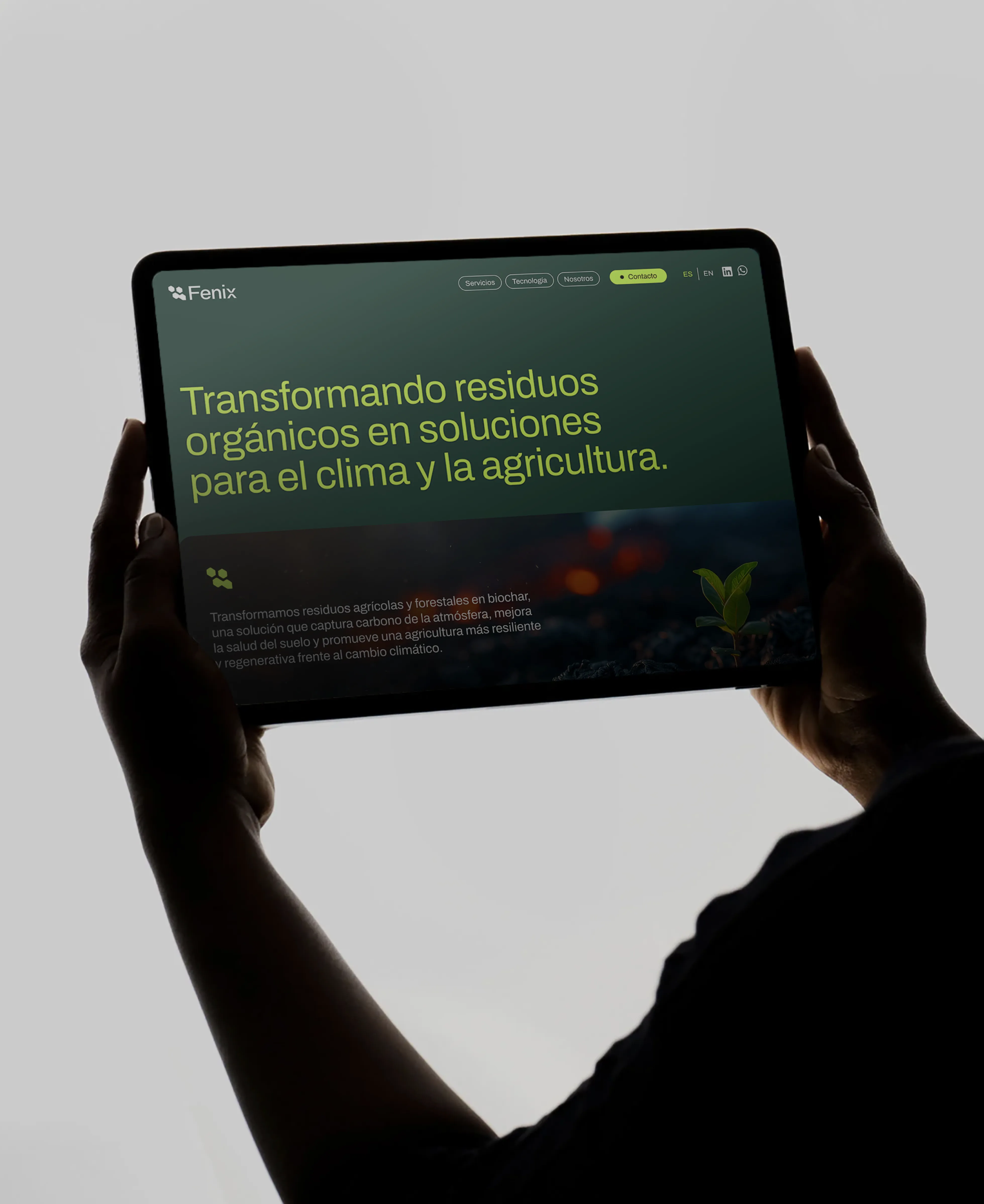 Portafolio_Web_Fenix_2 Vertical - Portada.webp