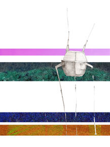 mairy antonopoulou μαίρη αντωνοπούλου