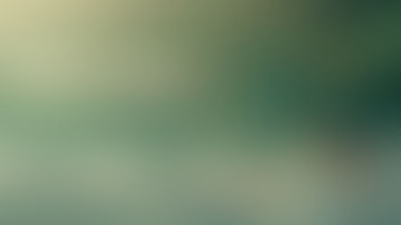 KW 34/2025 - Geduld ist Gold