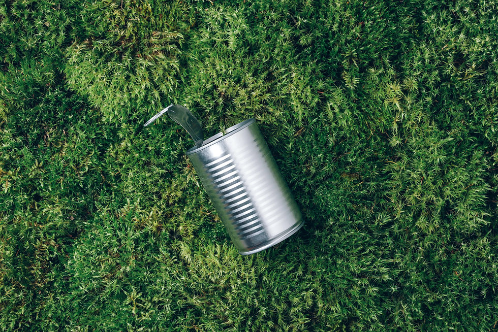 open-tin-can-on-green-moss-background-top-view-c-2024-10-18-07-59-42-utc_edited.jpg